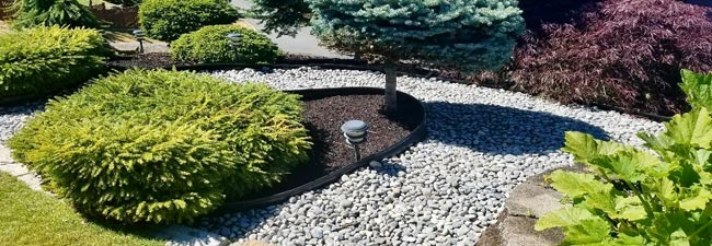 Landscaping Softscapes