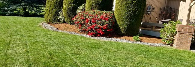 Yard and Lawn Maintenance